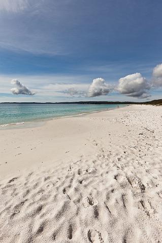 282 Jervis Bay, hyams beach.jpg